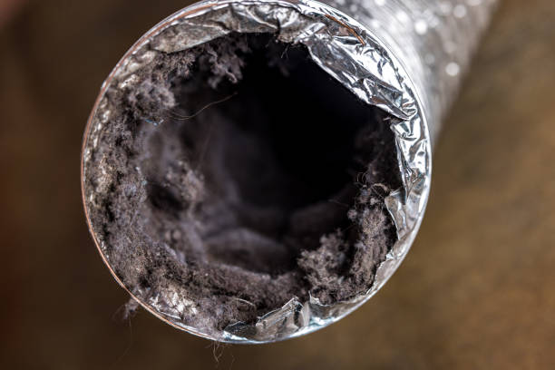 Reliable La Homa, TX Airduct Cleaning Solutions